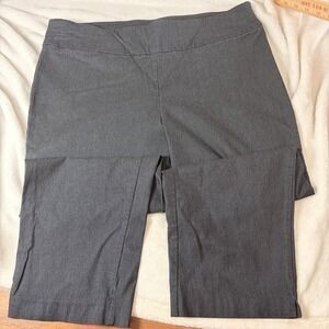 Courtenay Plus Size 16W Dark Gray Pull On Career Dress Pants Comfort Stretch EUC